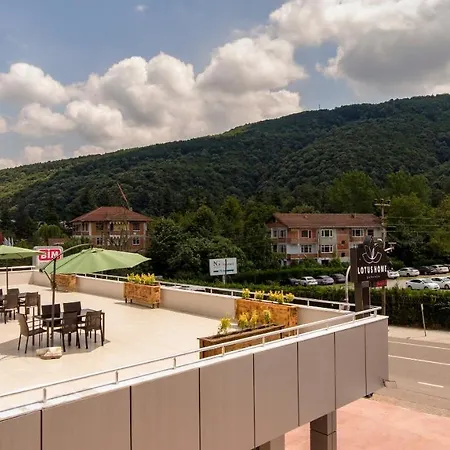 度假居 Lotus Sapanca *